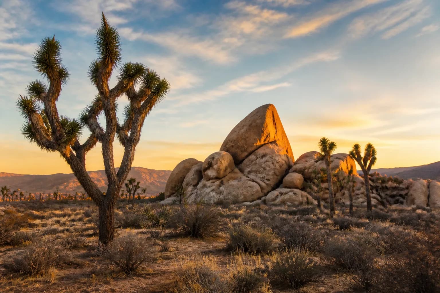 Joshua Tree Campground RV Length and Water Guide