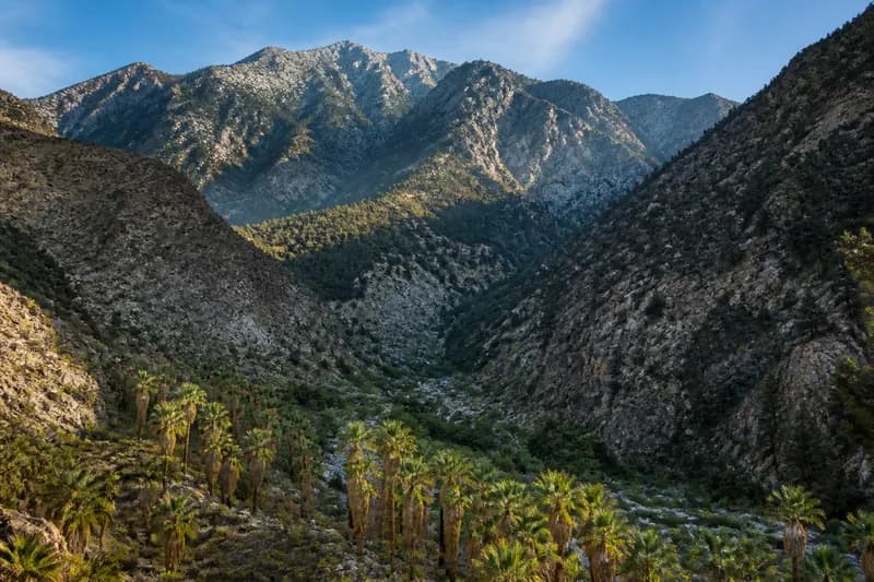 Mount San Jacinto / Palms to Pines