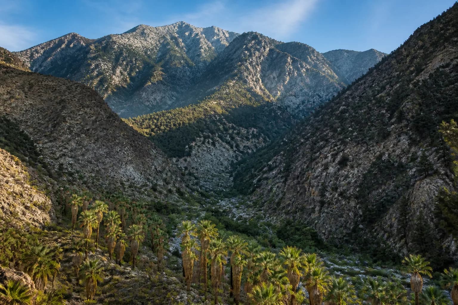 Palm Springs Tram vs Idyllwild for RV Trips